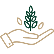 Business Value
