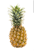 PERECEDEROS